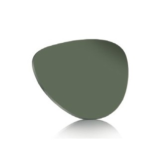 Polarised Sunglass Tint...